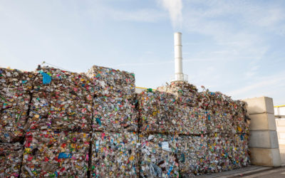 Treatment and Recycling of Municipal Solid Waste – Development of National Solid Waste Database