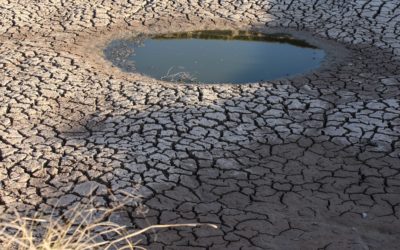 Modeling and Groundwater Assessment of Umm Er Radhuma Aquifer