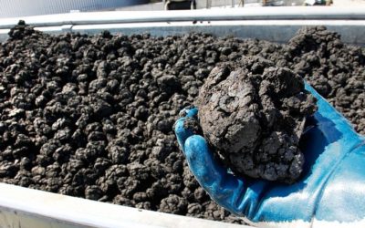 Assessment Study on the Treatment & Recycling of Sludge