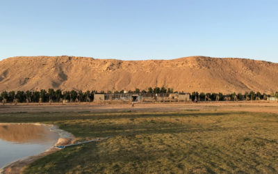 Water Resources Study of Wasia-Biyadh Aquifer