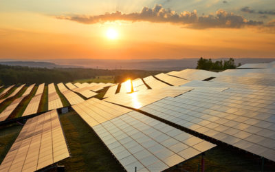 Tender Process Support for Phan Lam 1 PV